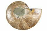 Cut & Polished Ammonite Fossil (Half) - Deep Crystal Pockets #345994-1